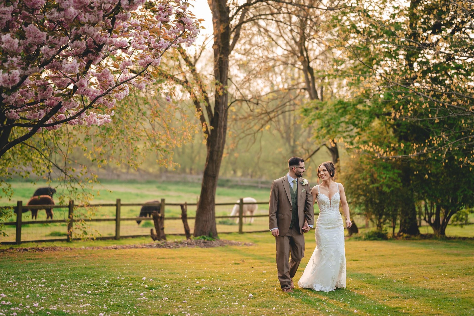 A couple walking beneath spring blossom